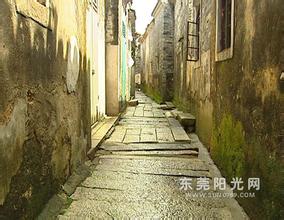 ���±���͸���Ƕľ���Ƶ���м�ί��2��ʡ������Ա�����ɥϲ�챻����...